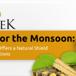 Giloy for the Monsoon PravekKalp Offers a Natural Shield Against Infections